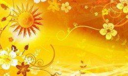 花边娱乐爆料长视频,长视频背后的惊人内幕