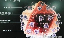 艾滋病毒最新爆料,突破性发现与防控策略